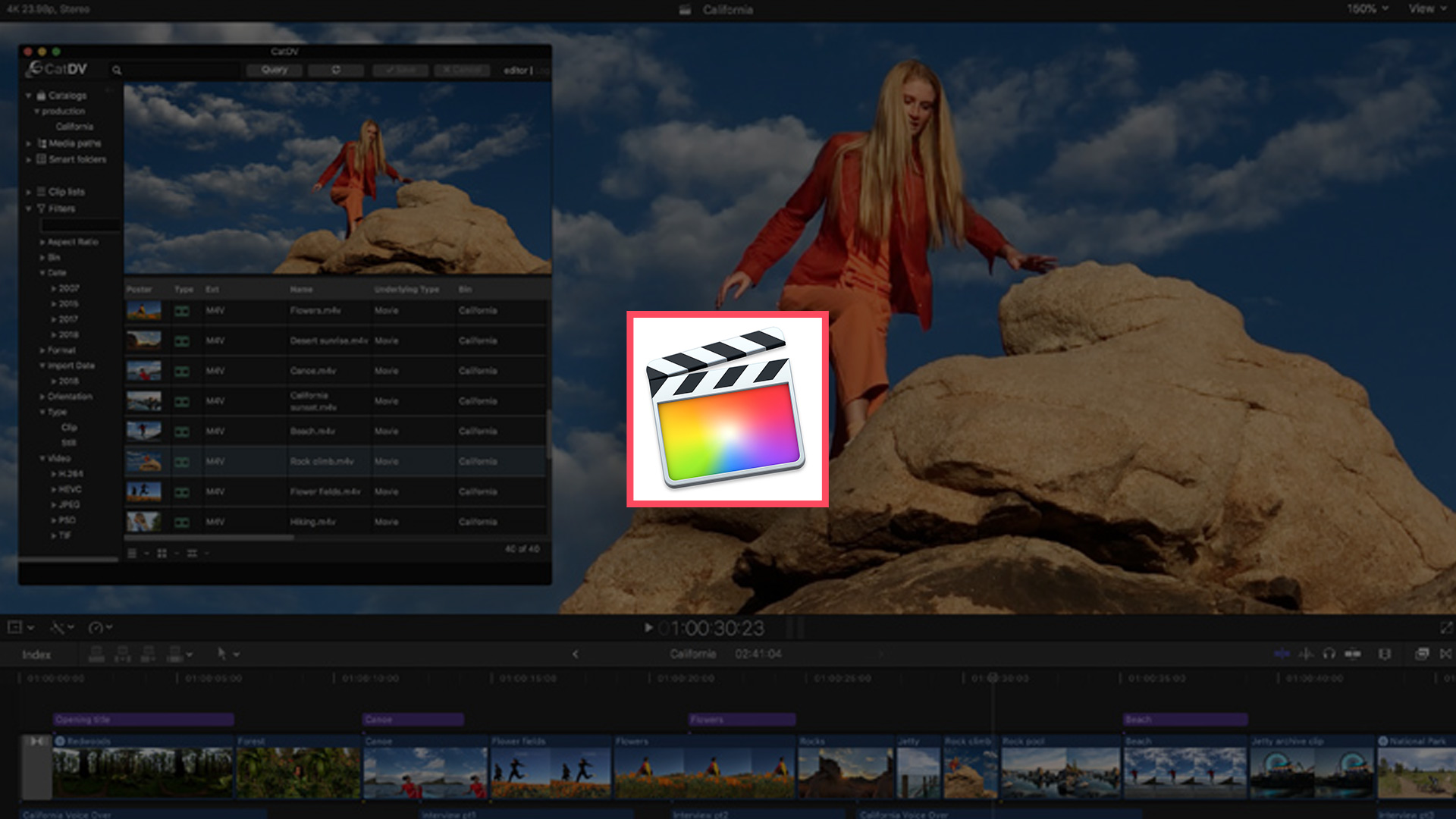 Read more about the article Final Cut Pro